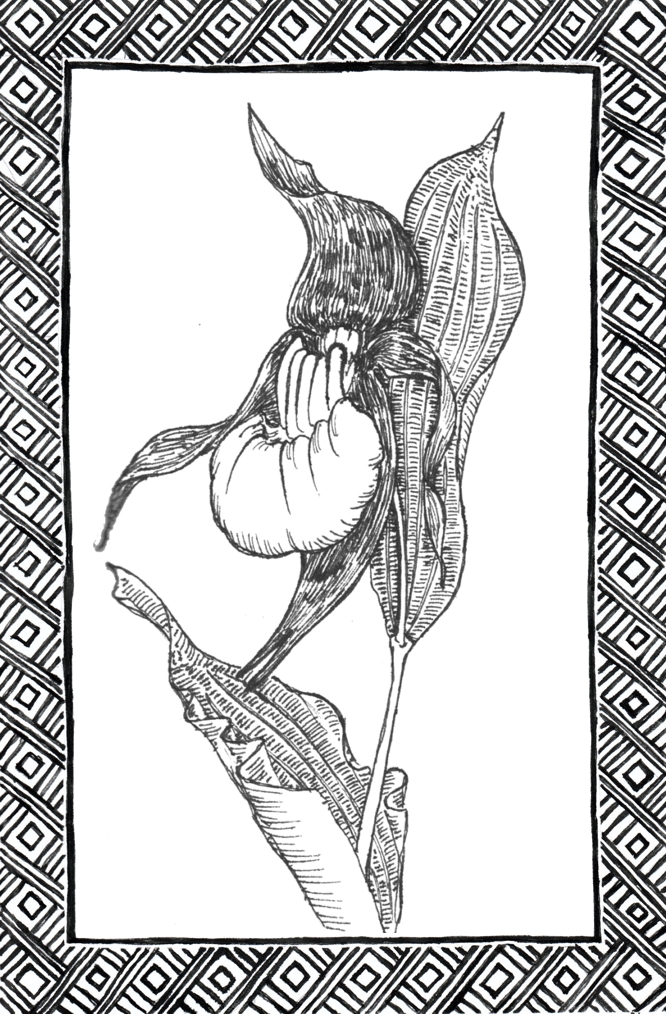 Slide 44